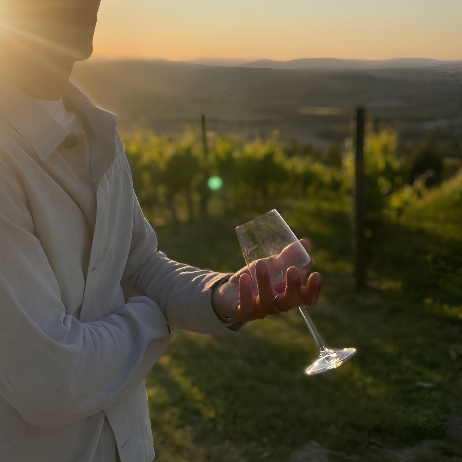 Castelli del Verdicchio di Jesi